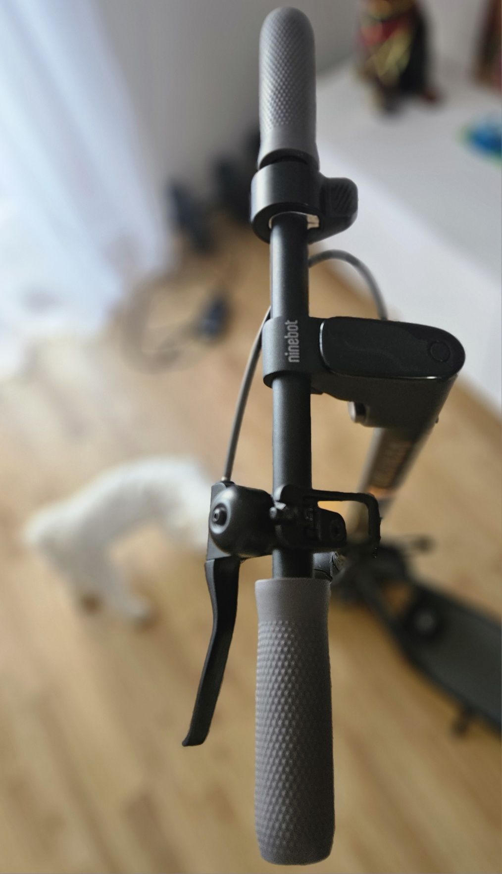 Ninebot KickScooter Б/У