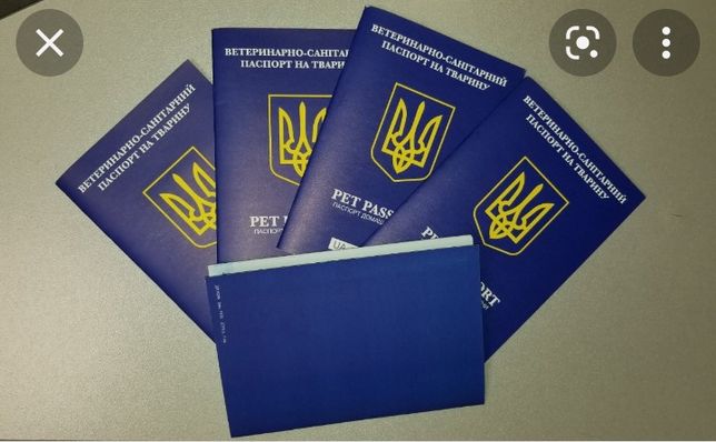 Ветеренарно - санитарный паспорт + чип + прививки+ титры.