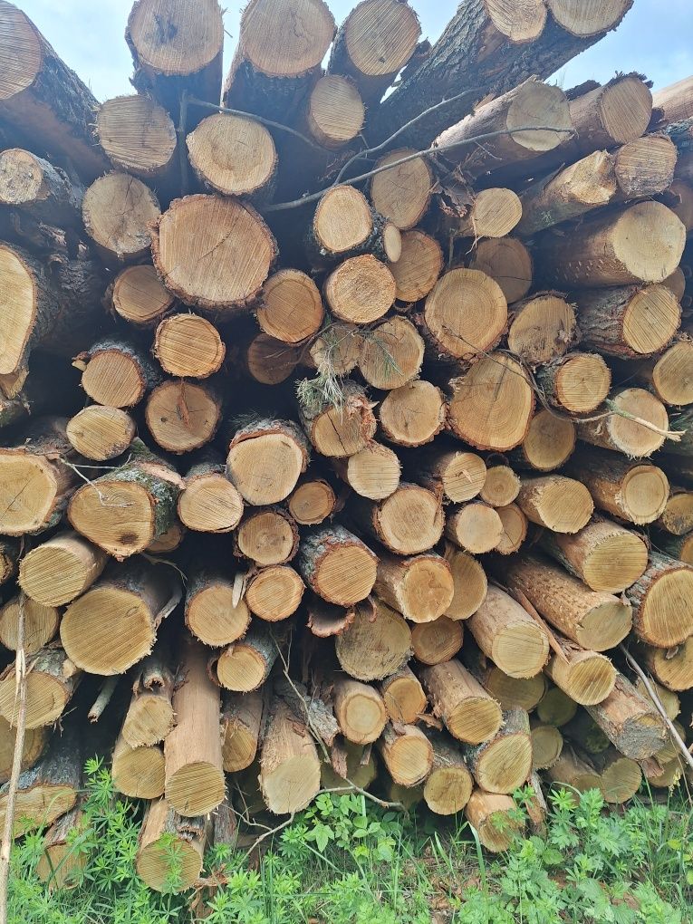 Drewno opałowe kominkowe brzoza dąb buk grab s2a s4 2.5m wałki
