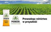 Dystrybutor PIONEER - kukurydza nasiona kukurydzy