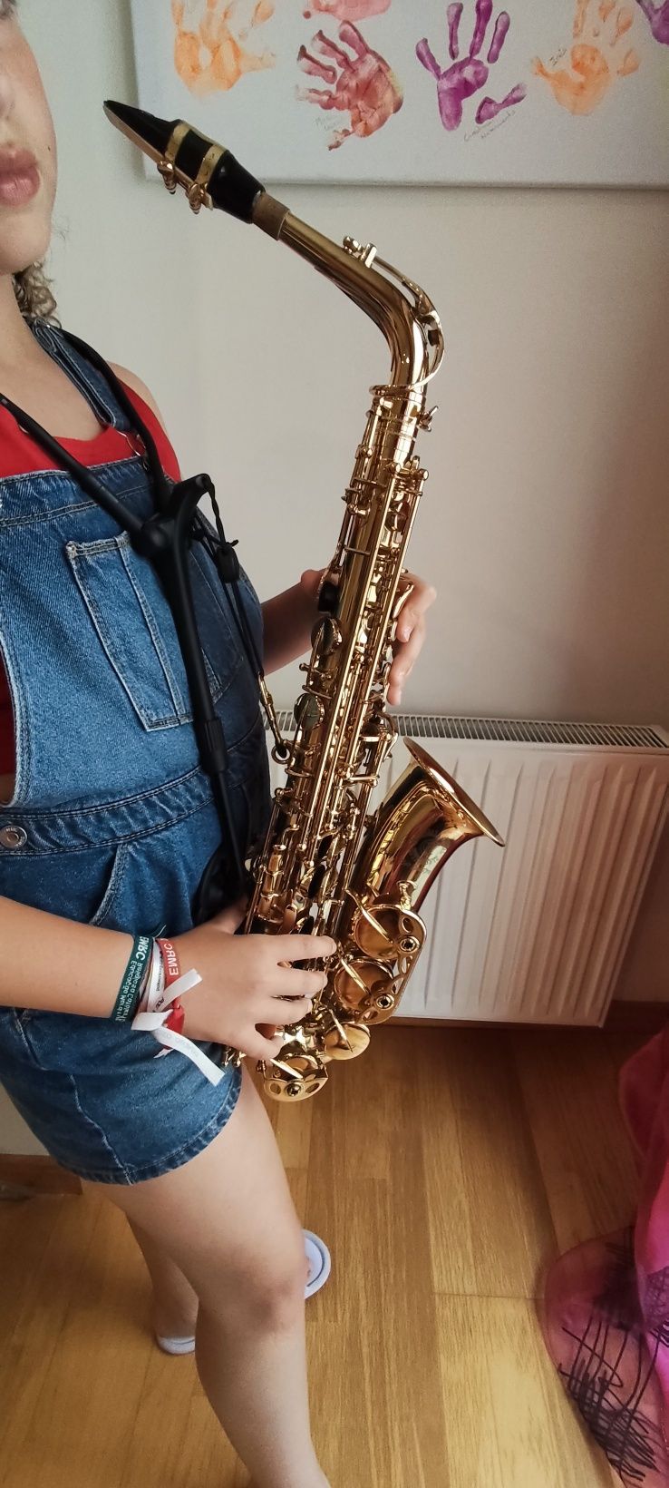 Saxofone Canomball alcazar studant alto