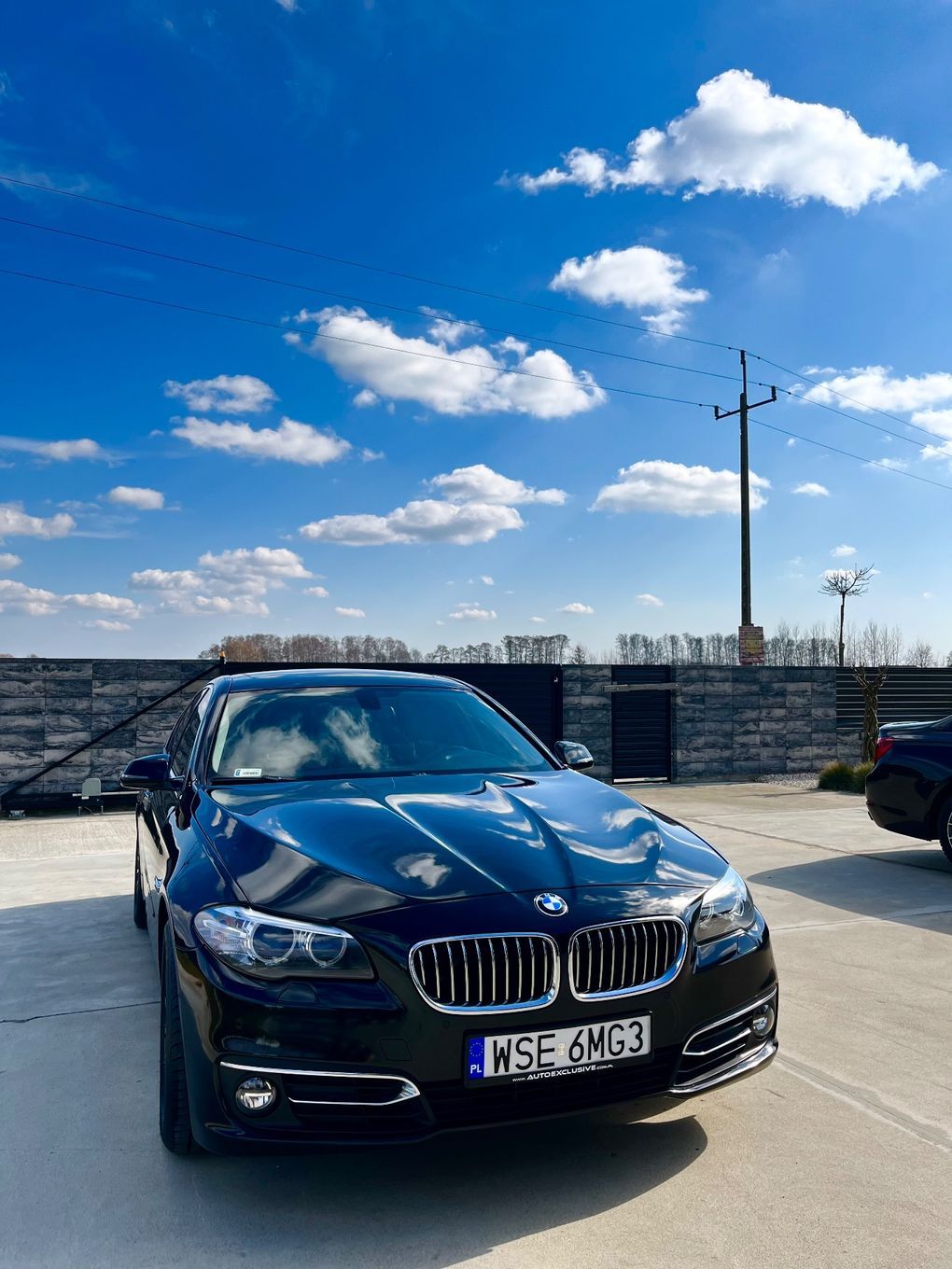 BMW Seria 5 BMW 530d Luxury Line