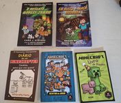 Livros minecraft (5 livros)