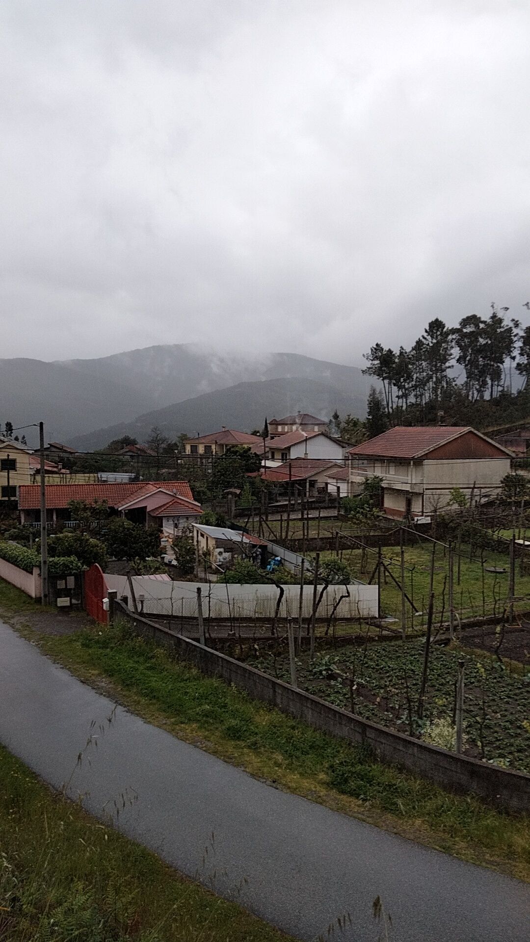 Terreno Construção Mondim de Basto, aceito troca por um carro ou vendo