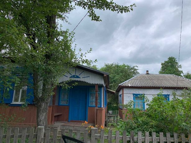 Продам будинок у селі Кучинівка Корюківський р-н.
