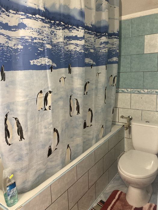 Оренда житла Косонь, село Запсонь  подобово і на довший термін