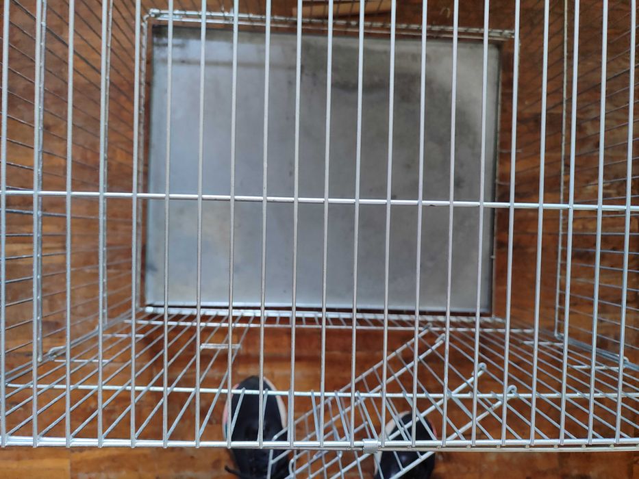 Клітка для тварин