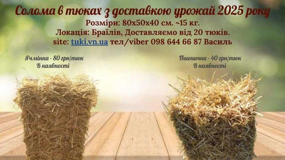 Солома та сіно в тюках ячмінна ячна пшенична тюки урожай 2025 року