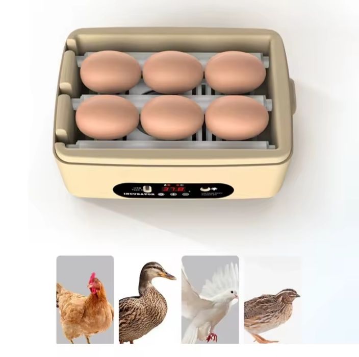 Chocadeiras Automáticas - 6 ovos
