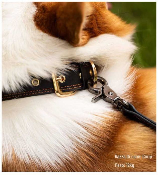 Skórzana smycz dla psa z 2 uchwytami 1,3m Kolor Niebieski