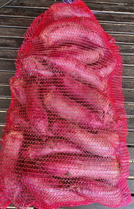 Buraki ćwikłowe 10kg bezpośrednio od rolnika