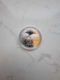 Borsuk 20zł 2011 moneta srebrna