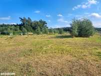 Działka budowlana 1000 m² - Wąsowo – tuż przy lesie!