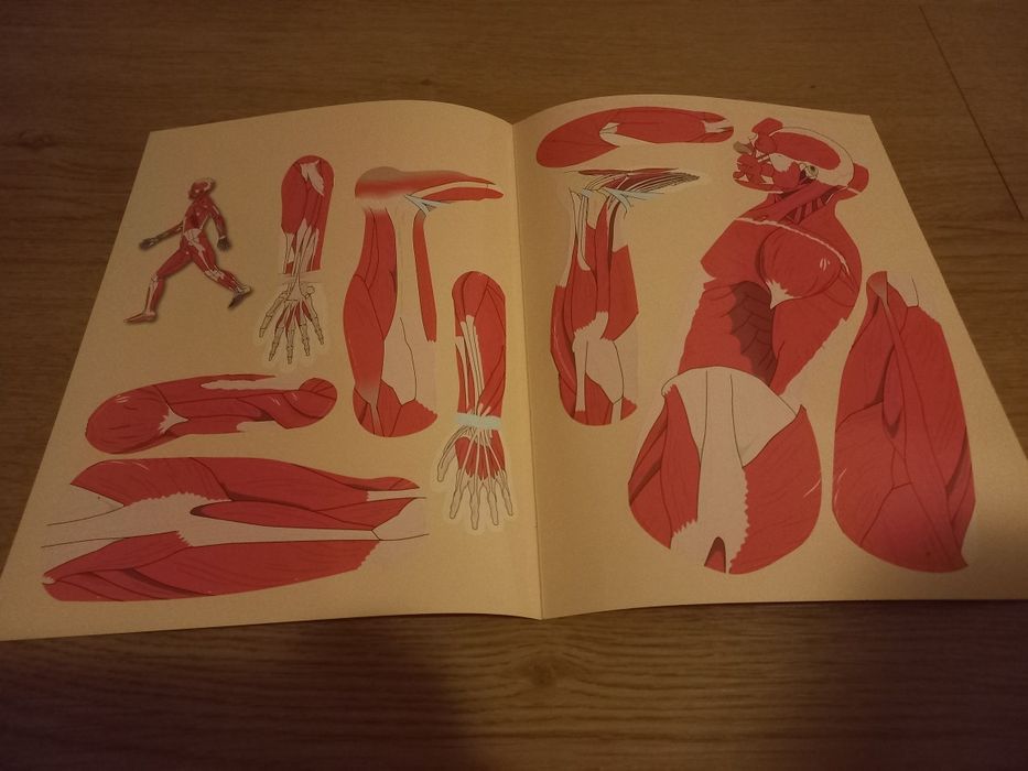 Conjunto material didático