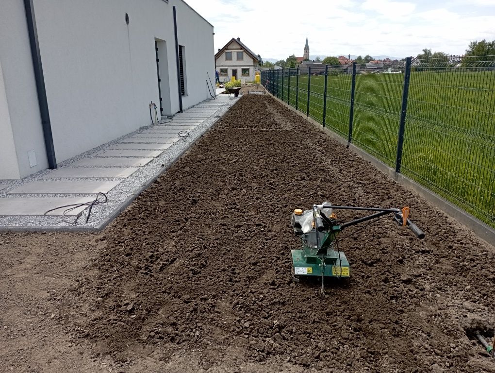 Przycinanie Tui i żywopłotów.Usługi ogrodnicze.