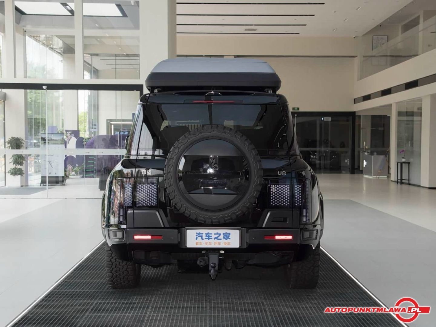 BYD Yangwang U8 Off-road Player Version Auto Punkt