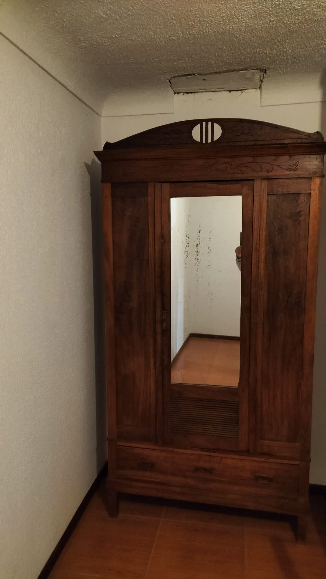 Roupeiro, Guarda-Fatos vintage com decoração vegetal e espelho