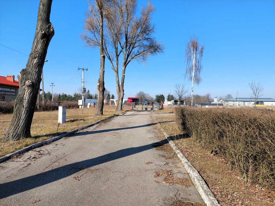 Łowicz, ul. Bolimowska - Wynajmę nieruchomość