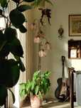 Mosiężna lampa podłogowa Vintage w kształcie tulipanów