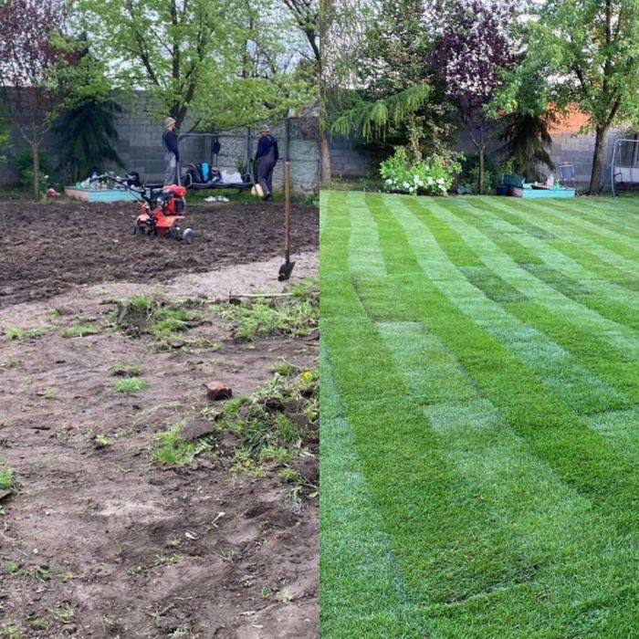 Рулонний/Посевной газон под ключ