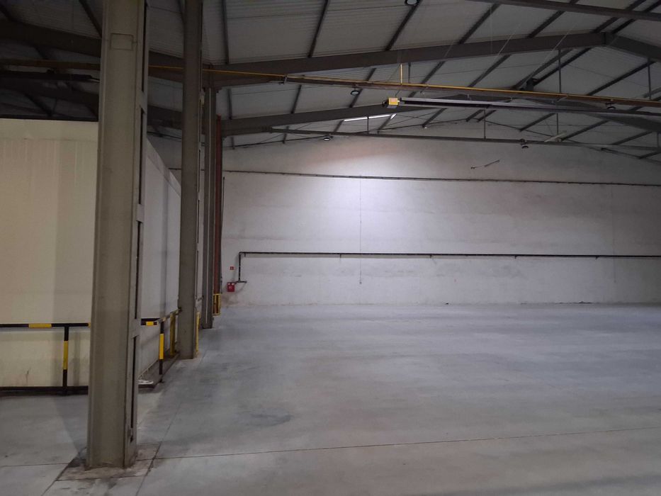 Magazyn Hala Piaseczno 1162 m2