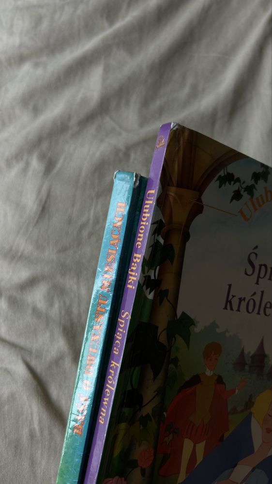 Książki Śpiąca Królewna, Baśń o dwunastu miesiącach, Plastusiowy