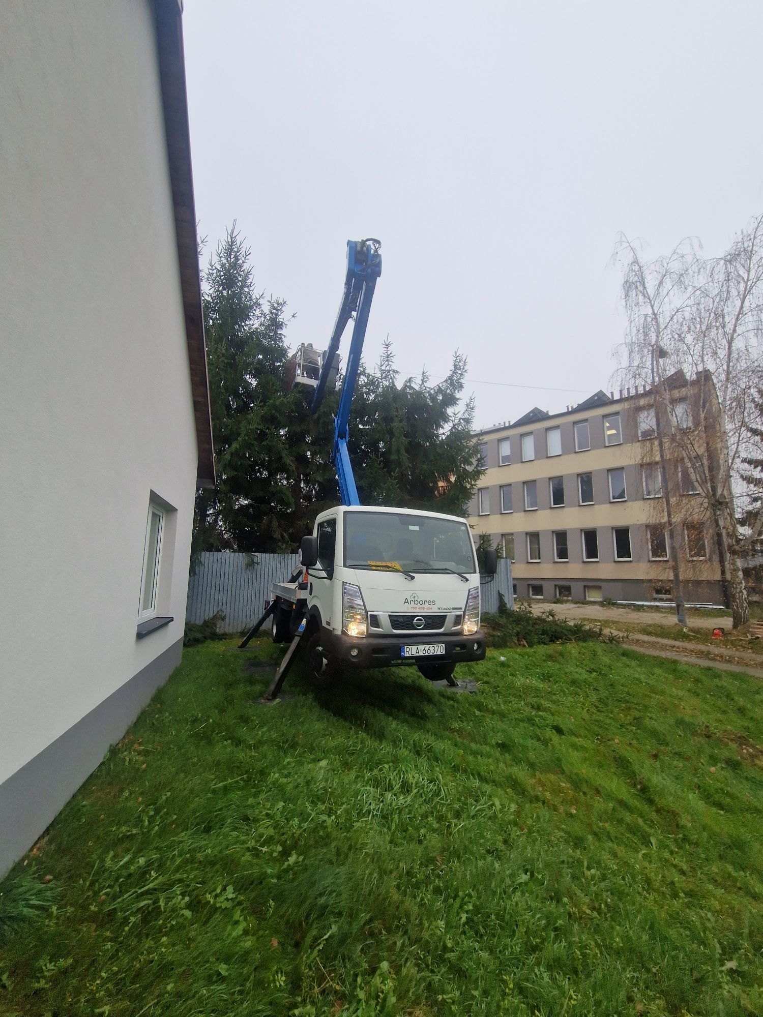 Frezowanie pni, wycinka drzew, karczowanie, mulczowanie, usuwanie pni