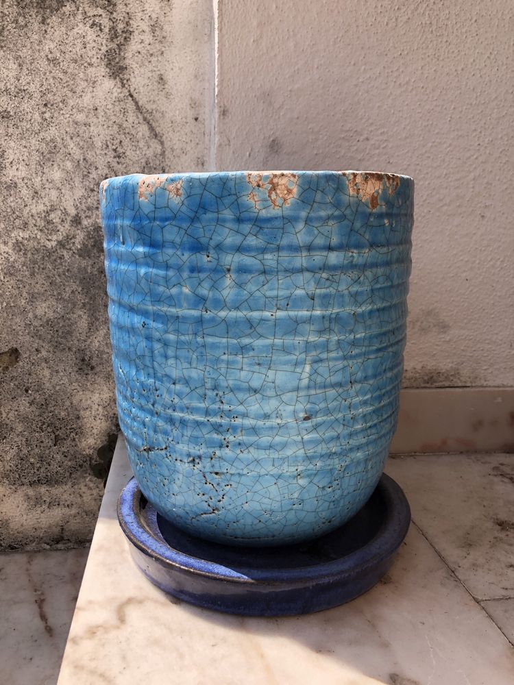 Vaso azul Horto do Campo Grande