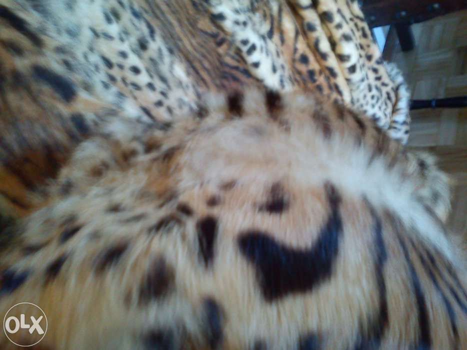 Casaco leopardo verdadeiro comprado em Paris como novo