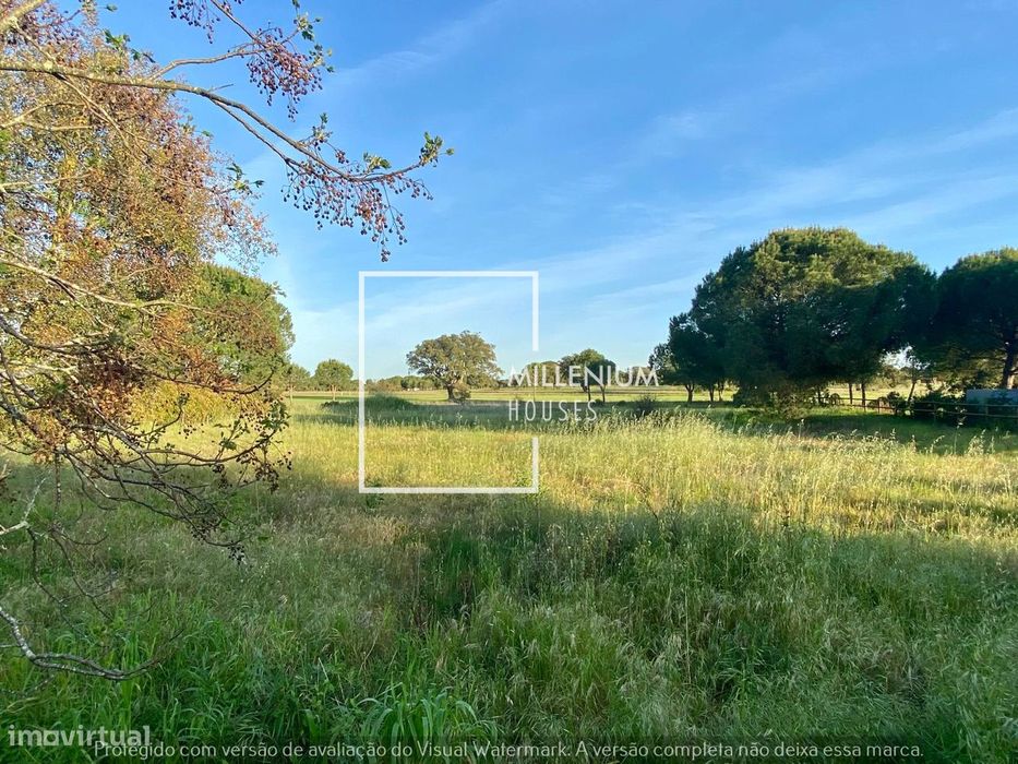 **Terreno Urbano | 1. ª Linha Golfe | Vila Nova de Santo Estêvão**