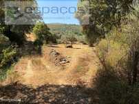 Terreno Plano com Poço