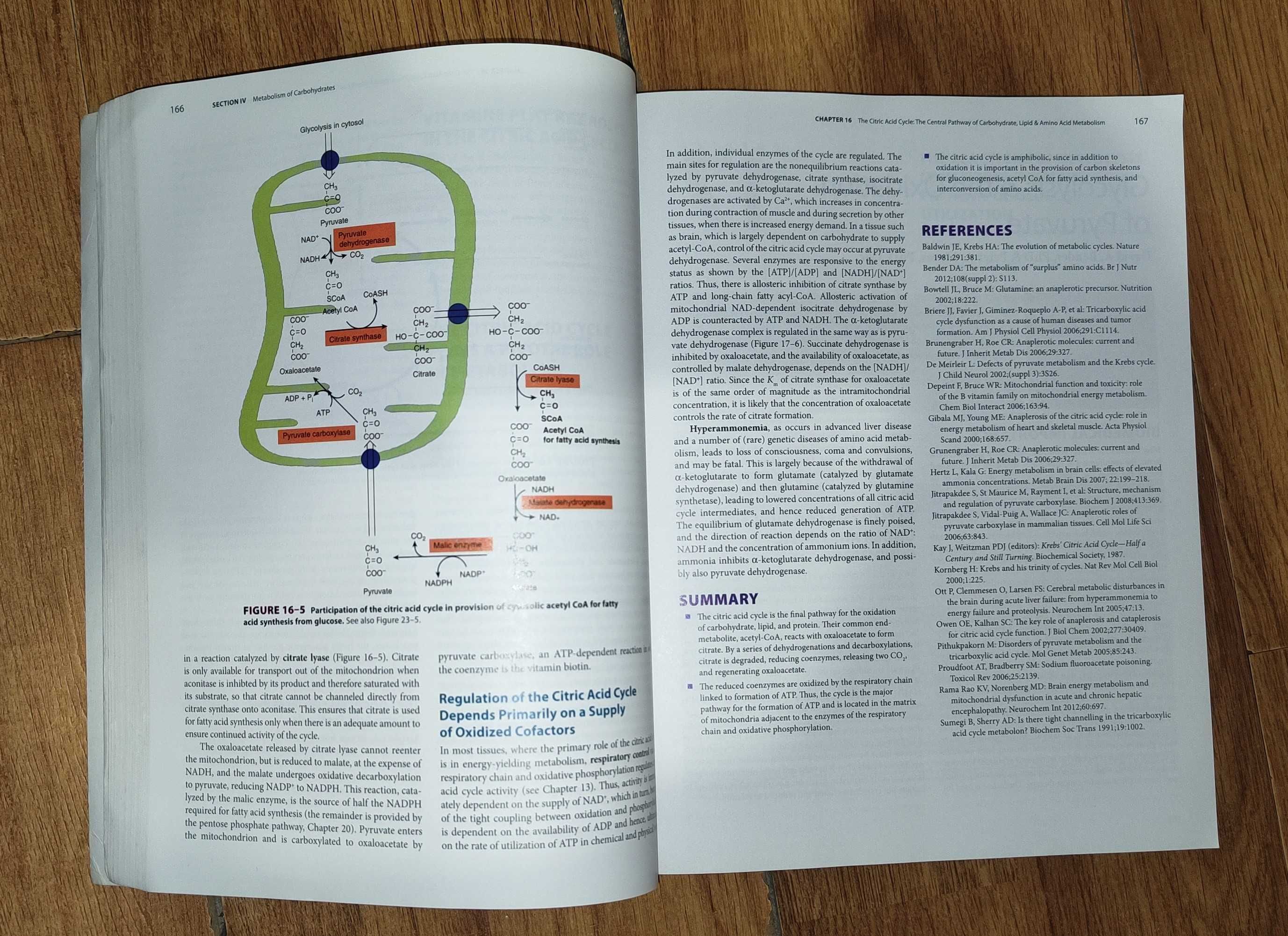 Harpers Illustrated Biochemistry