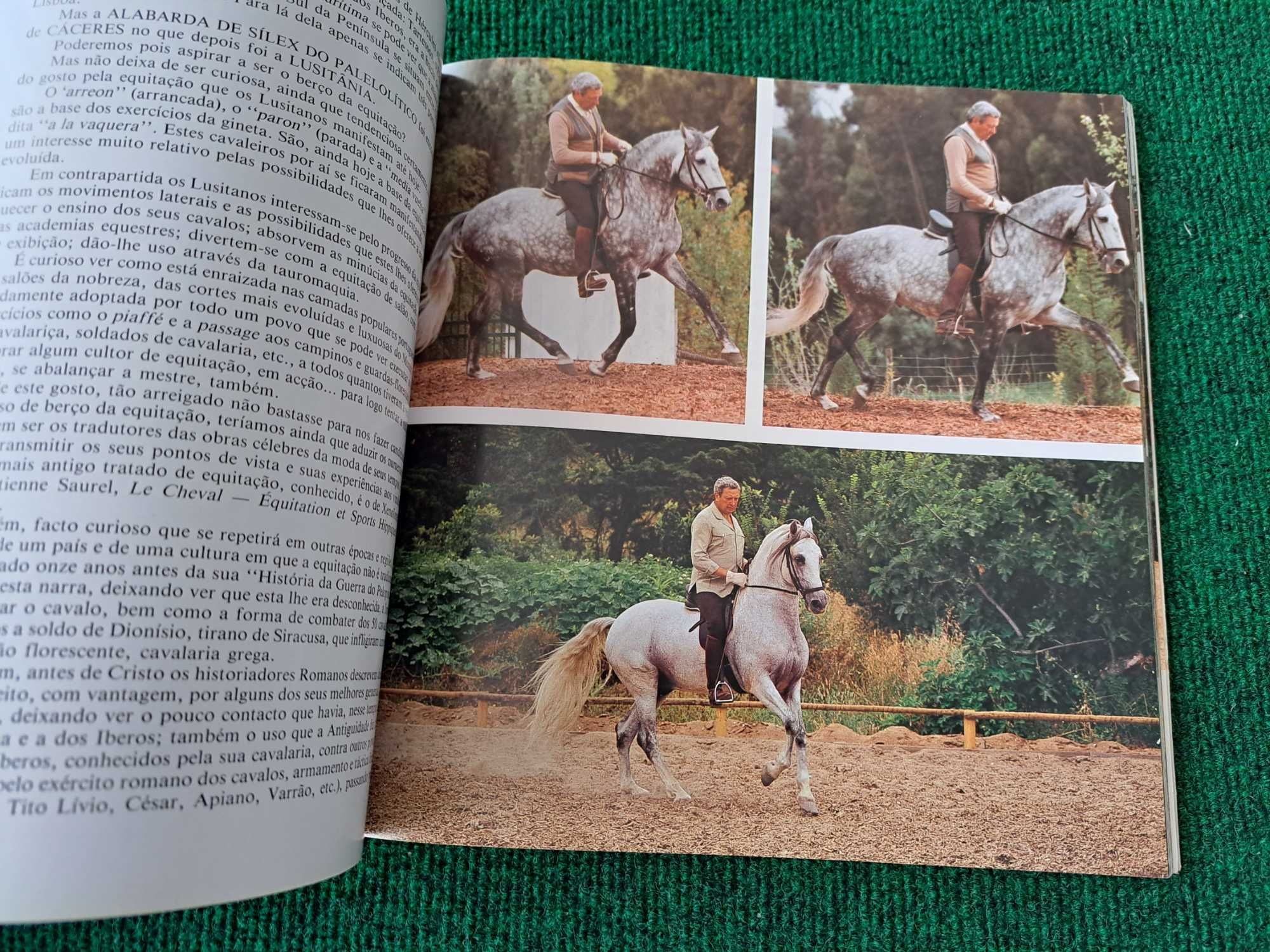 Cavalo Lusitano - O Filho do Vento - Arsénio Raposo Cordeiro