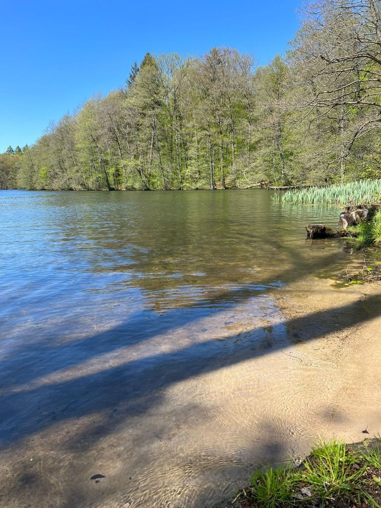 Domki nad jeziorem Krąg, Basen, Sauna, Jacuzzi, Kominek, Sprzęt Wodny