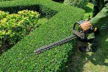 Jardineiro Profissional