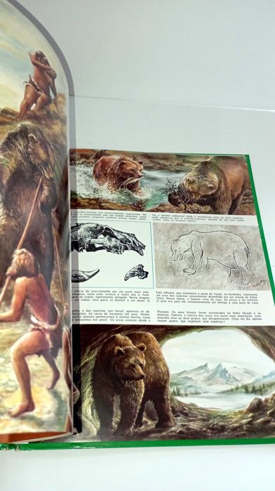 A Vida Secreta dos Animais na Pré- História