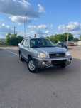 Продам SANTA FE 2.0tdi. Без вкладень .