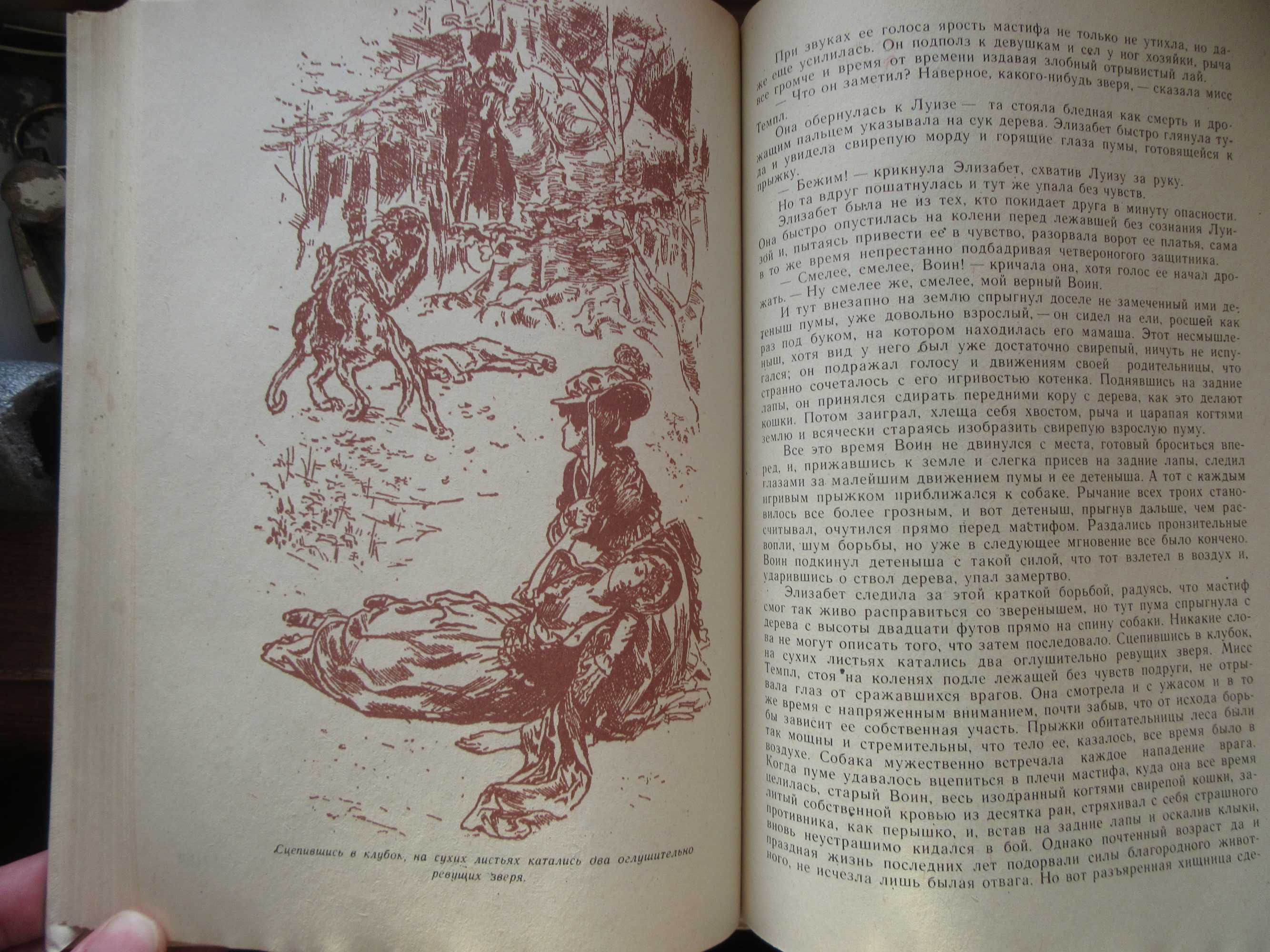 Пионеры, или У истоков Саскуиханны. Купер Джеймс Фенимор.1982 г.