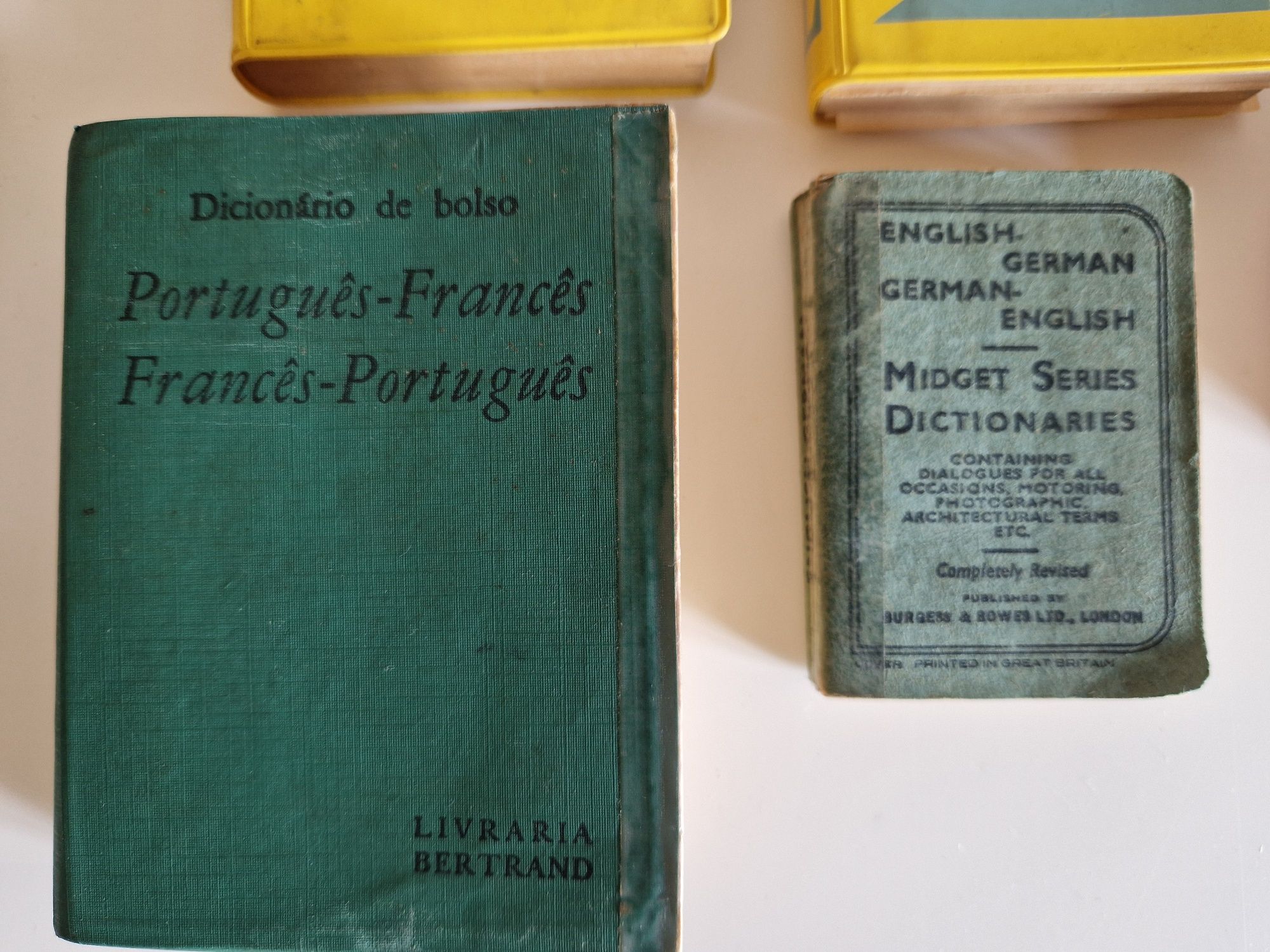 Lote Diversos Dicionários / Prontuários Antigos