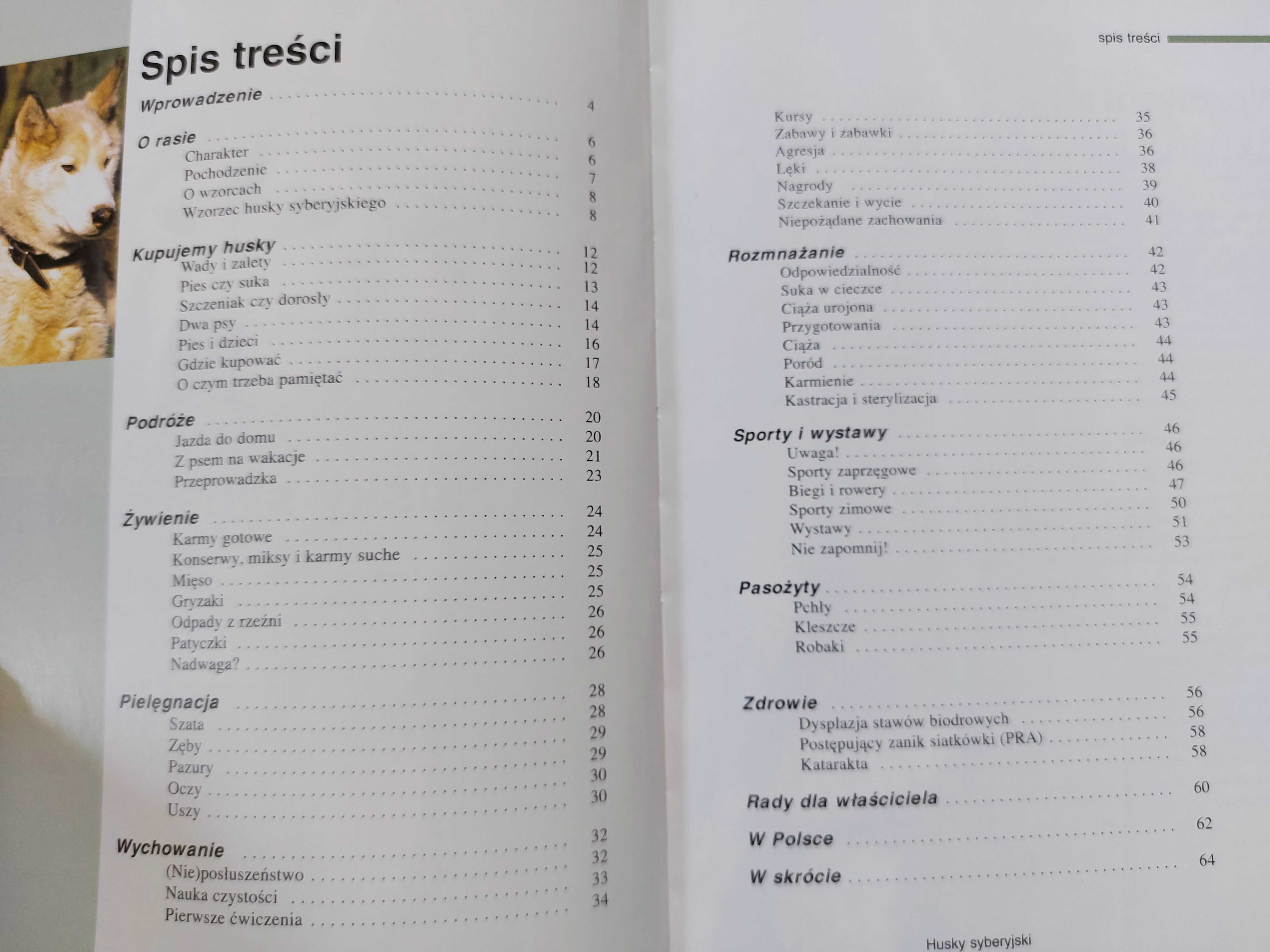 Sznaucer - wyd. Galaktyka