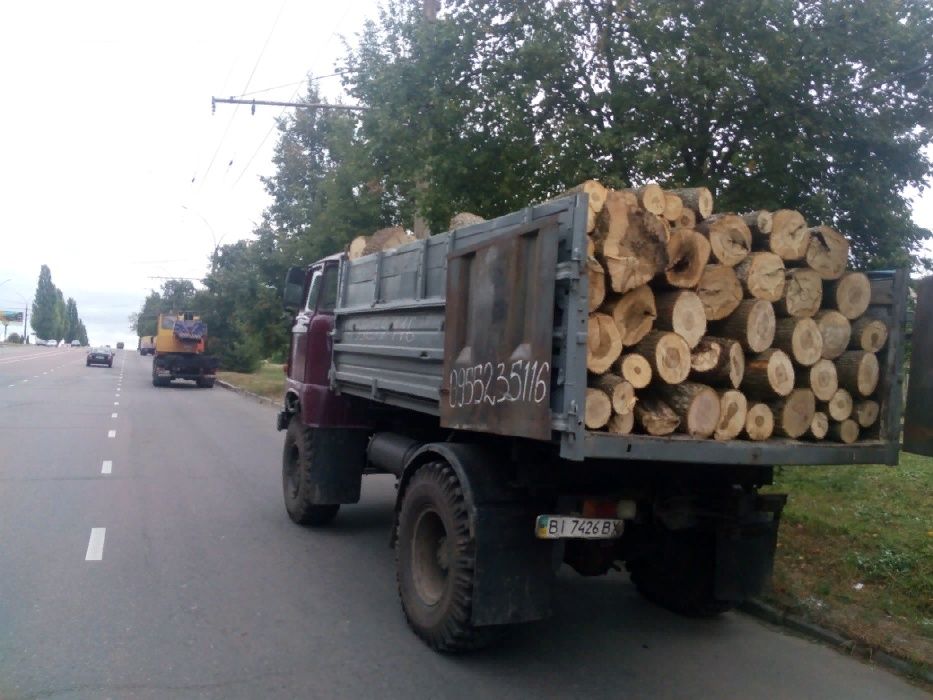 Дрова твердой породы