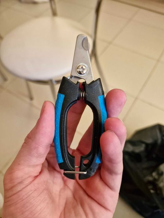 Ножниці для котів, собак тварин нові.