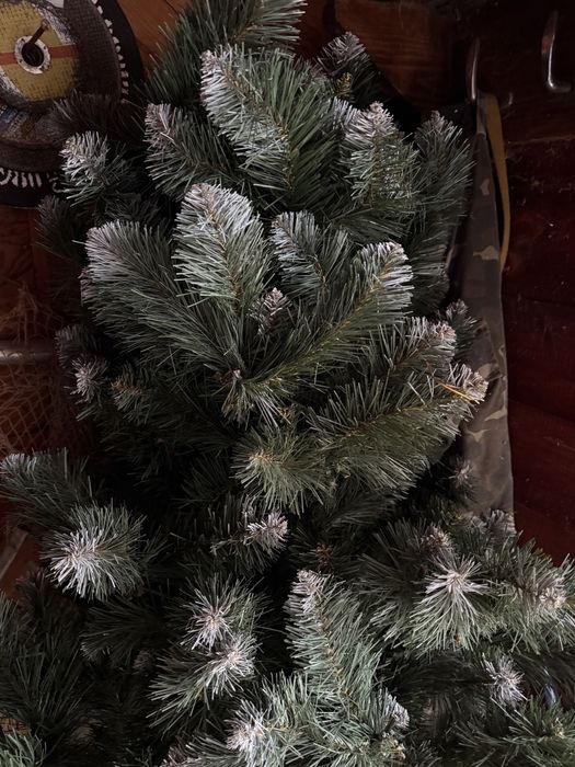 Продам ядинку засніжену  180 см