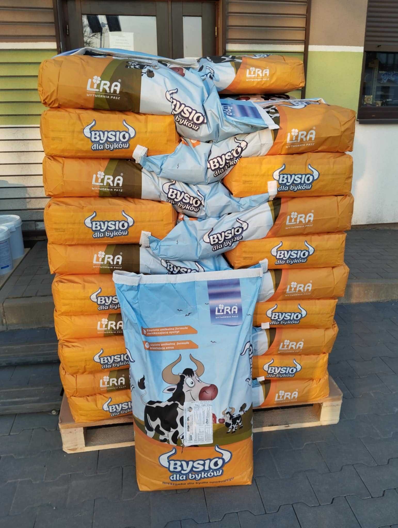 Bysio dla byków od 110 kg