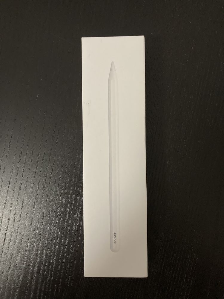 Apple pencil  2a geração-  nova