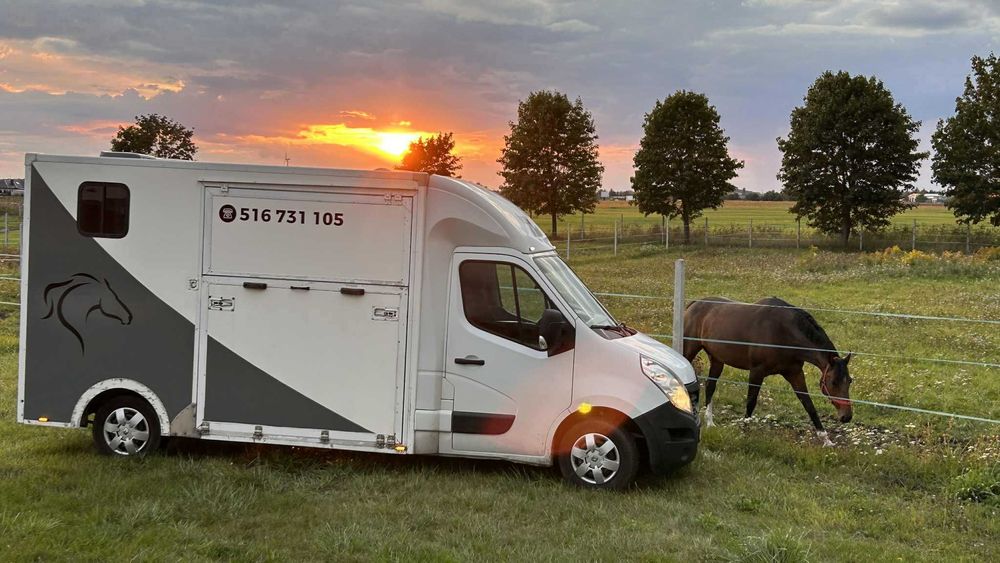 Transport koni na terenie całej Polski
