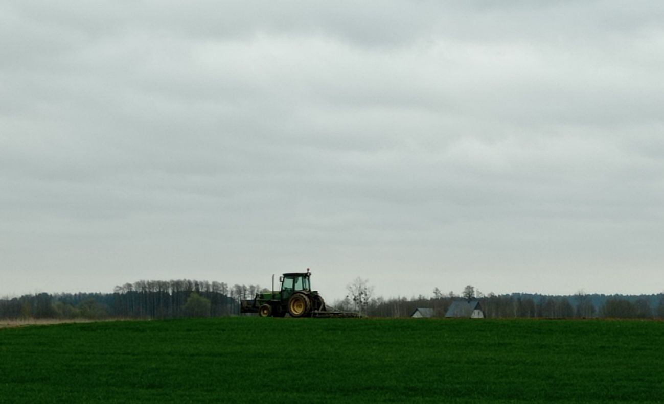 Zakładanie, pielęgnacja trawników, koszenie trawy