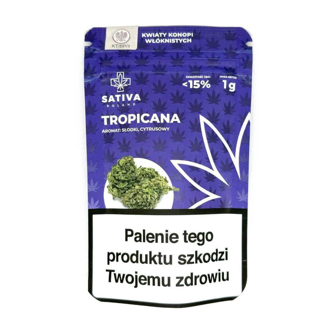 CBD Kwiaty Konopi "TROPICANA" 1 g Kup z Olx!