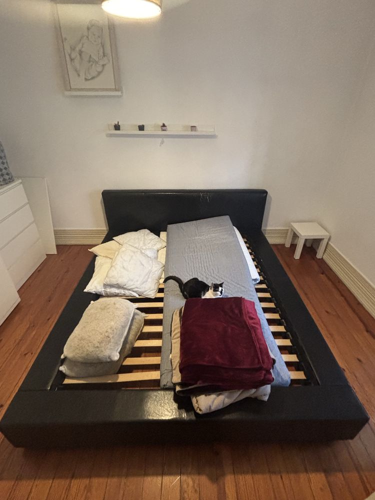 Cama Casal em Polipele