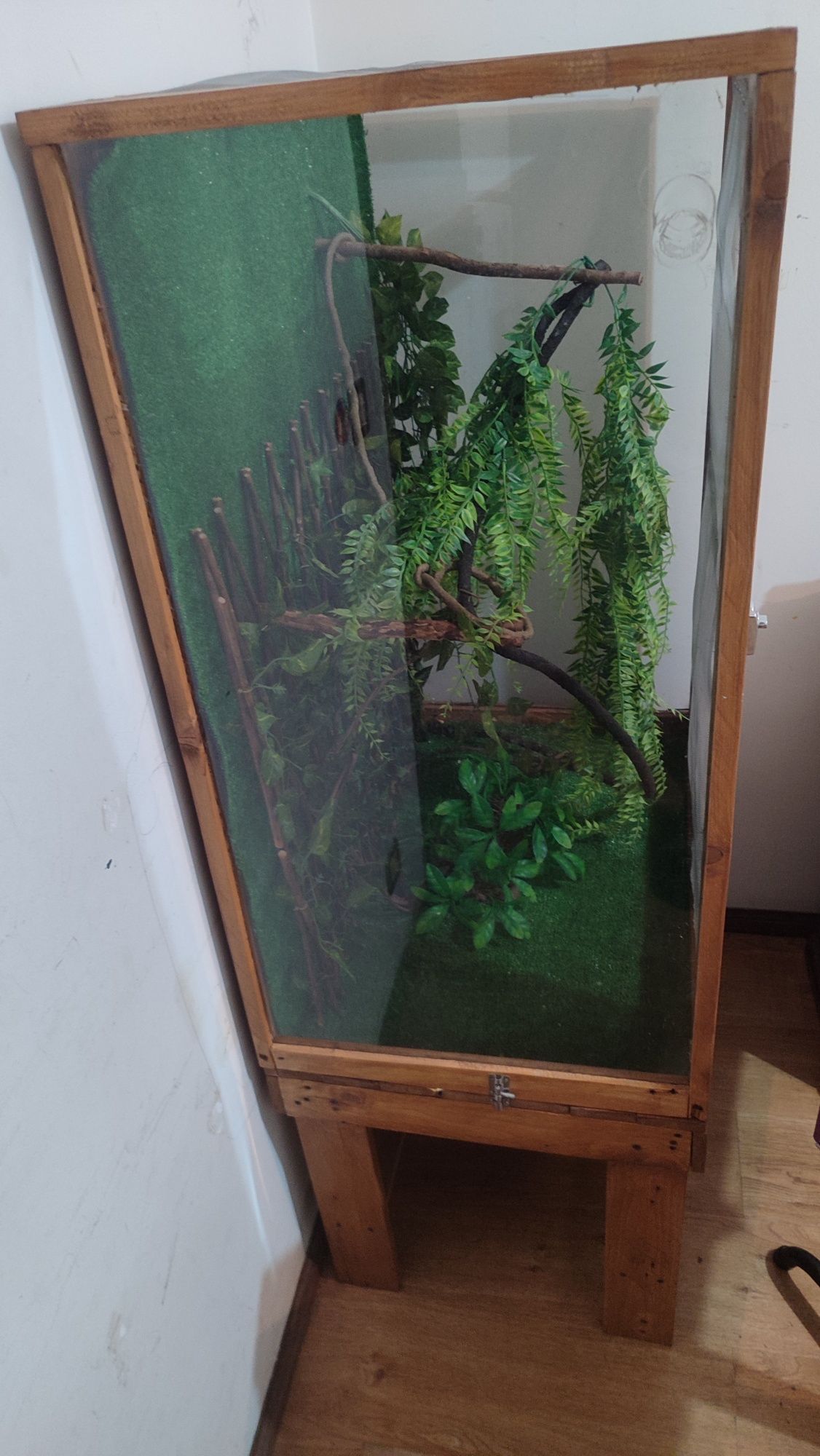 Terrário madeira